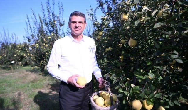 EŞME AYVA FESTİVALİ 23 EKİM’DE