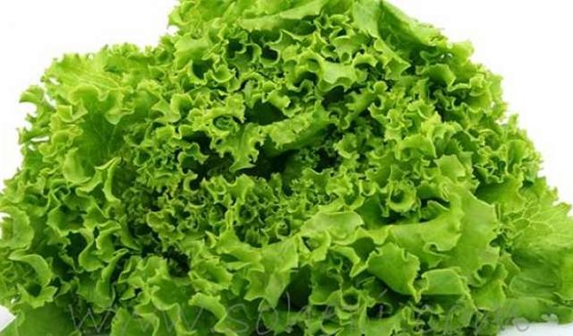 Eylül ayının zam şampiyonu kıvırcık oldu