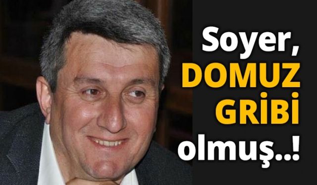 Soyer, DOMUZ GRİBİ olmuş..!