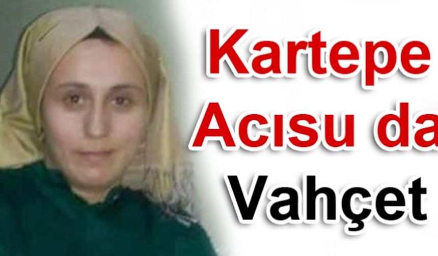 Kartepe Acısu da Vahşet