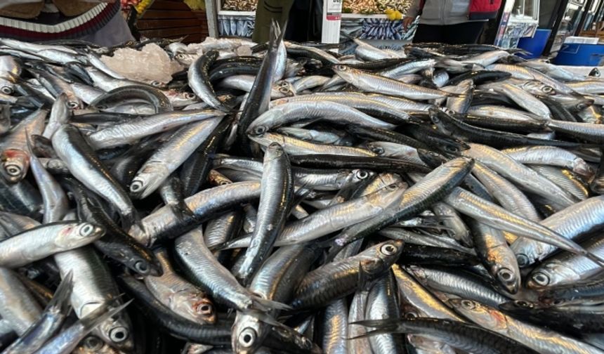 Tezgahlarda hamsi 30, çinekop 50 TLden satışa sunuluyor