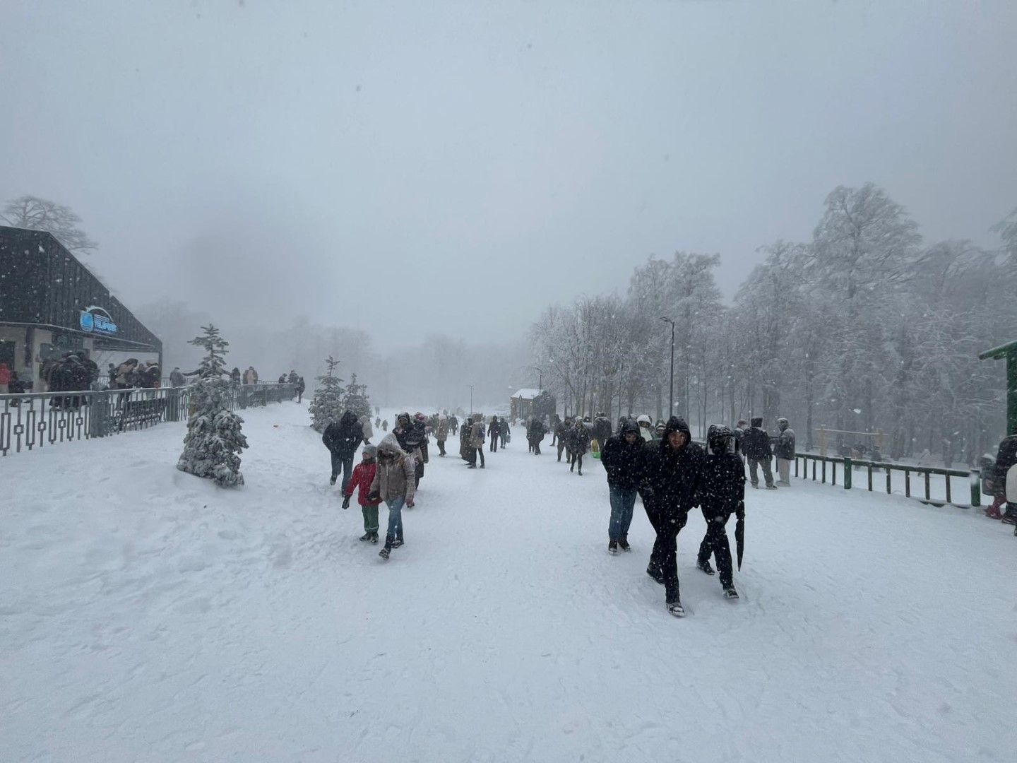 Attachment 11 1 37726B4Ddfb17591Ef92Edf6C1356Bdc 1762955962